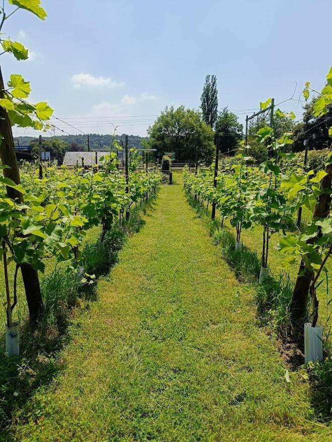 Halte Sint-Gerlach Holiday Home Valkenburg aan de Geul Екстериор снимка